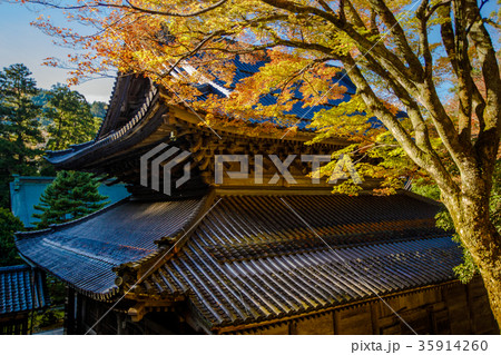 永平寺 永平寺 35914260