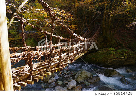 奥祖谷かずら橋 35914429