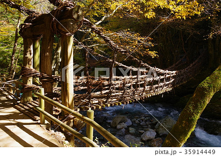 奥祖谷かずら橋 35914449