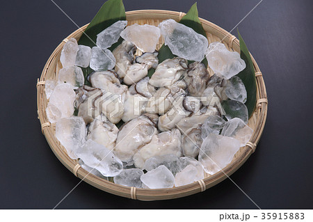 牡蠣 牡蠣 35915883