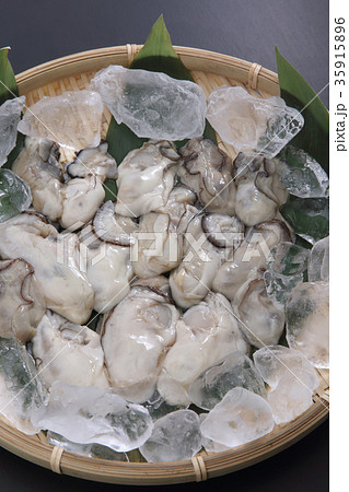 牡蠣 35915896