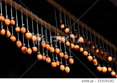 干し柿作り 干し柿作り 35916282