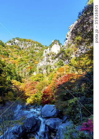山梨県 昇仙峡 紅葉シーズン 山梨県 昇仙峡 紅葉シーズン 35916805