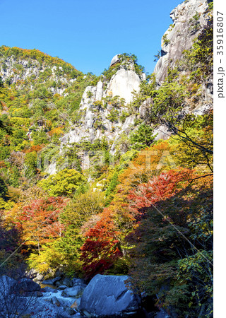 山梨県 昇仙峡 紅葉シーズン 山梨県 昇仙峡 紅葉シーズン 35916807