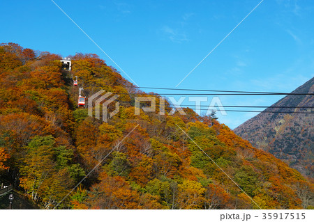 【紅葉見頃】明智平ロープウェイ 【紅葉見頃】明智平ロープウェイ 35917515