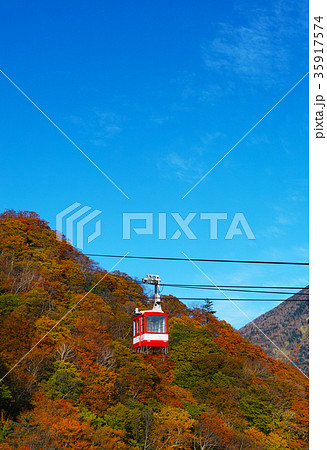 【紅葉見頃】明智平ロープウェイ　コピースペース 35917574