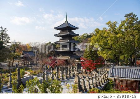 名古屋都市風景・秋の八事興正寺 名古屋都市風景・秋の八事興正寺 35918718