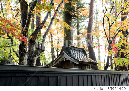 武家屋敷の秋 角館 武家屋敷の秋 角館 35921409