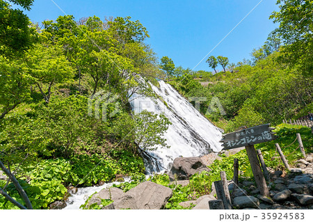 オシンコシンの滝(5月　知床半島) 35924583