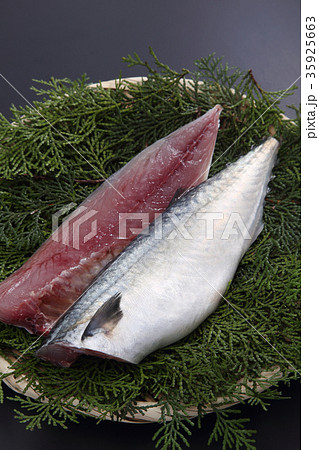 サバの切り身 35925663