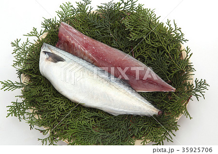 サバの切り身 35925706