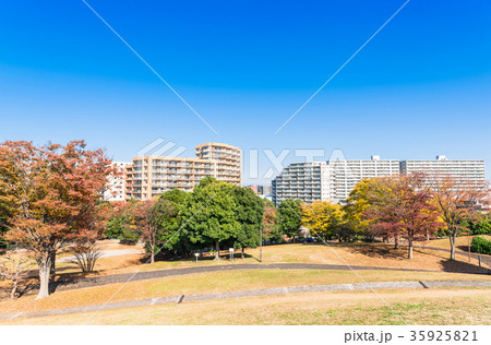秋晴れの空が広がる住宅街 秋晴れの空が広がる住宅街 35925821