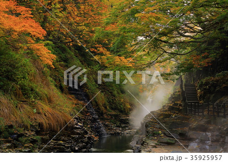 紅葉の小安峡 35925957