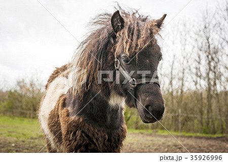 Rural landscape with a beautiful sunset 35926996