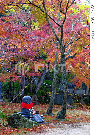 鷲林寺 鷲林寺 35927822
