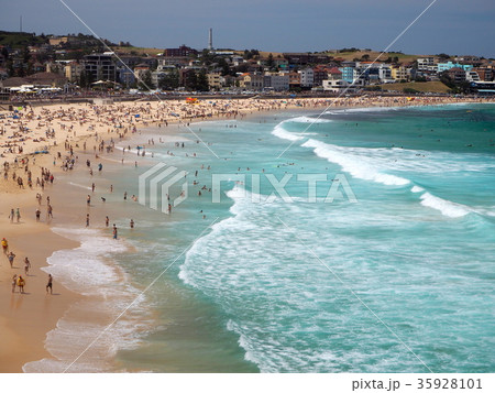 シドニーのコースタルウォーク　ボンダイビーチ 35928101