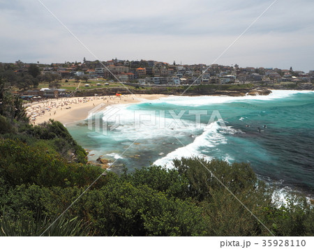 シドニーのコースタルウォーク　ブロンテビーチ 35928110