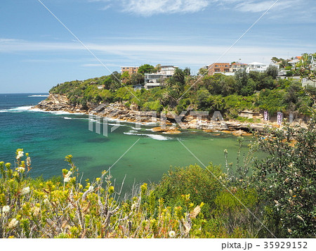 シドニーのコースタルウォーク　ゴードンズ・ベイ 35929152