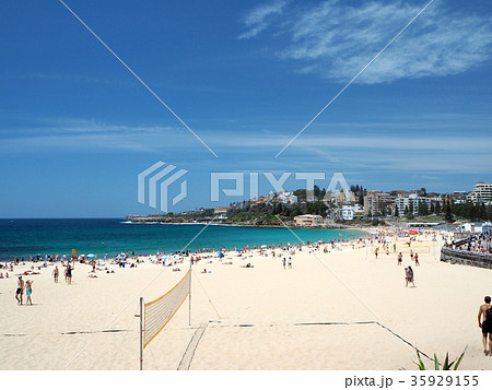 シドニーのコースタルウォーク　クージービーチ 35929155
