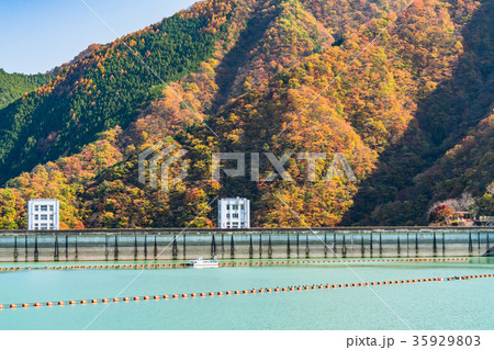 《東京都》奥多摩湖・自然風景 35929803