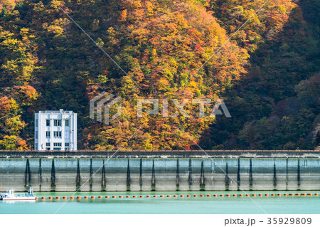 《東京都》奥多摩湖・自然風景 35929809