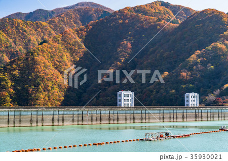 《東京都》奥多摩湖・自然風景 35930021