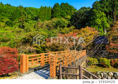 鍋島藩窯公園の紅葉 佐賀県 伊万里市 鍋島藩窯公園の紅葉 佐賀県 伊万里市 35930420