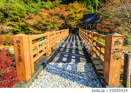 鍋島藩窯公園の紅葉　佐賀県　伊万里市 35930424
