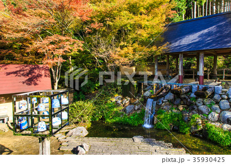 鍋島藩窯公園の紅葉　佐賀県　伊万里市 35930425