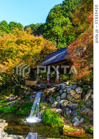 鍋島藩窯公園の紅葉 佐賀県 伊万里市 鍋島藩窯公園の紅葉 佐賀県 伊万里市 35930430