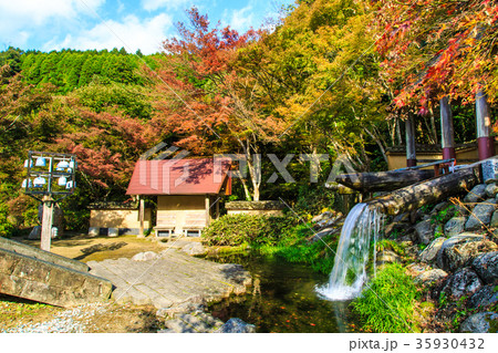 鍋島藩窯公園の紅葉 佐賀県 伊万里市 鍋島藩窯公園の紅葉 佐賀県 伊万里市 35930432