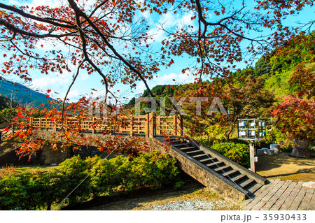 鍋島藩窯公園の紅葉 佐賀県 伊万里市 鍋島藩窯公園の紅葉 佐賀県 伊万里市 35930433