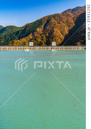 《東京都》奥多摩湖・自然風景 35931292
