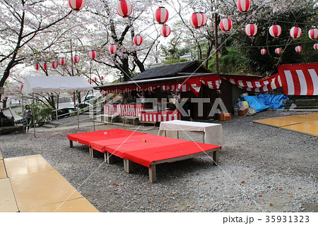 花見の宴会 35931323