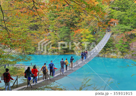 錦秋の寸又峡夢の吊り橋 35931915