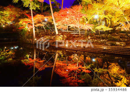 岩屋堂公園の紅葉ライトアップの写真素材