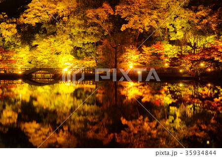 徳川園の紅葉ライトアップの写真素材