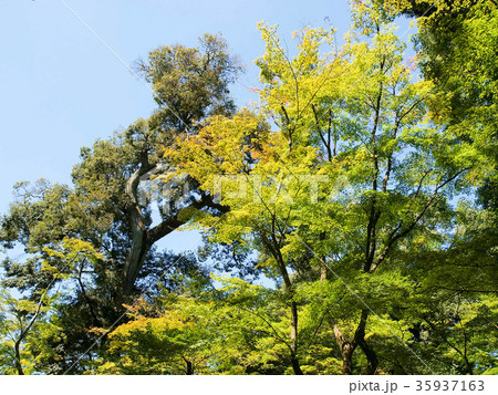 空 エーテル 大空 35937163