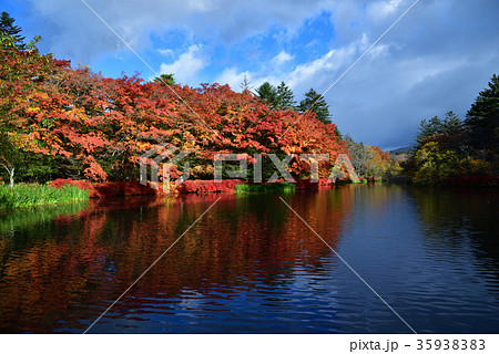 長野県　秋の軽井沢　雲場池の紅葉 35938383