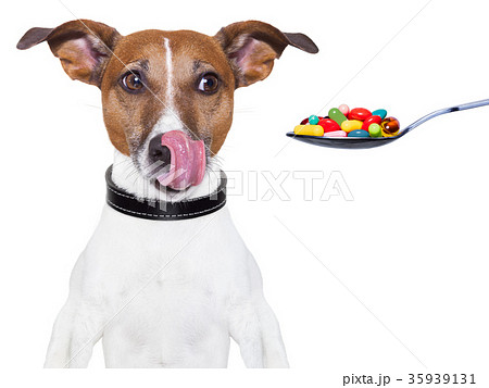 dog pills diet dog pills diet 35939131