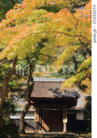 寺院の秋の始まり 35939254