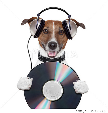 music headphone cd dog 35939272