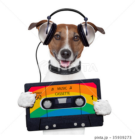 music cassette tape headphone dog 35939273