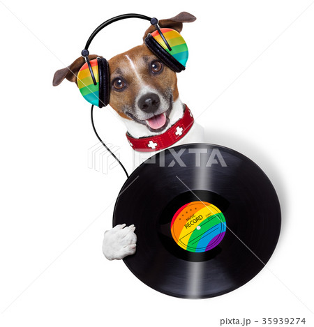 dj dog 35939274