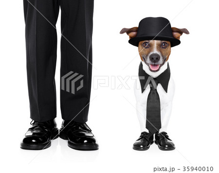tuxedo dog and owner 35940010