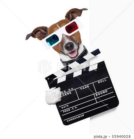 clapper dog 35940028