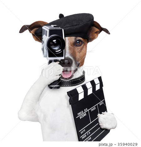 movie director dog 35940029