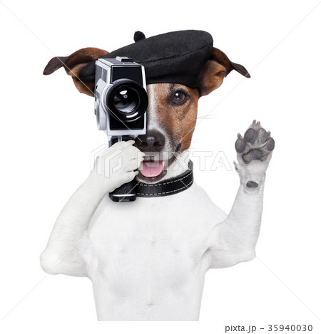movie director dog 35940030