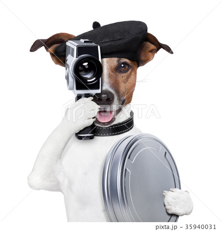 movie director dog 35940031