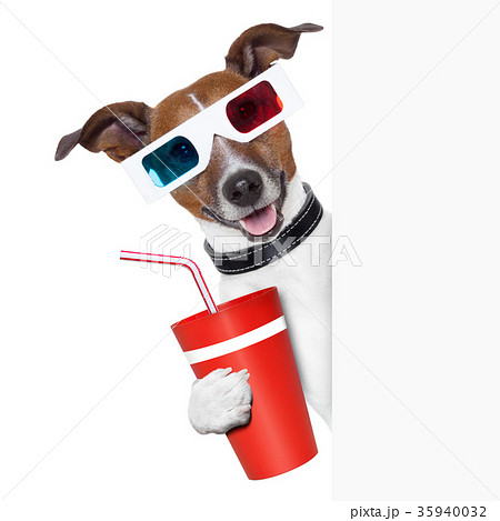 cinema dog cinema dog 35940032